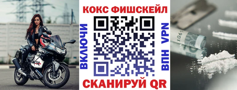 Cocaine FishScale  Купить где  Егорьевск 